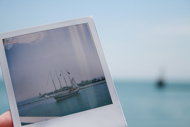 polaroid ship