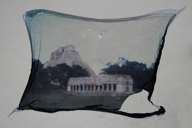polaroid emulsion lift