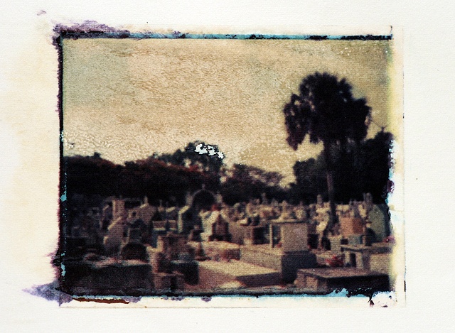 polaroid transfer