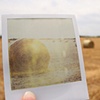 Hay Bales - Blaine County