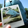 Catoosa's Blue Whale