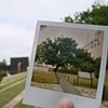 OKC National Memorial