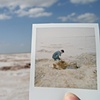 The Great Salt Plains