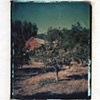 Oak Hill Farm