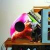 "Self Portrait" installation view