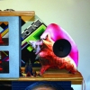 "Self Portrait" installation view