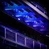 Bank of America | Digital Signage