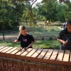 Meandering Marimba