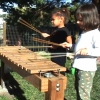 Children playing Nature Explore Marimba
