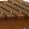 Nature Explore Marimba Video