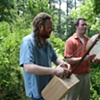 Mississippi Bass Harp