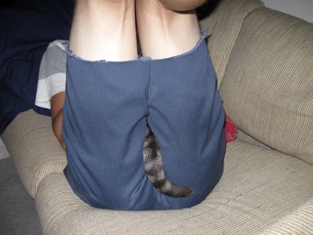 Self Portrait with Tail