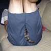 Self Portrait with Tail