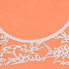 Lace Bra
