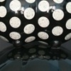 Object(Cynosure)#2