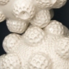 Curio Detail