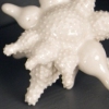 Curio Detail
