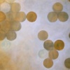 fragility of existence