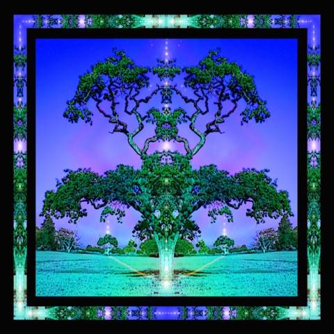 Gathering Starshine