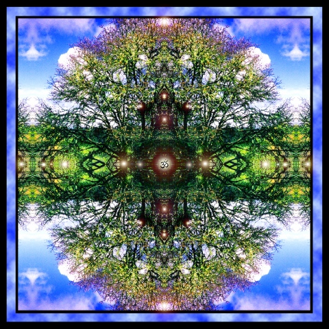 Tree Spirit