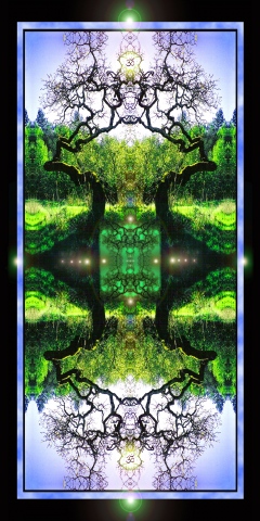the Green Radiant Mind of Trees