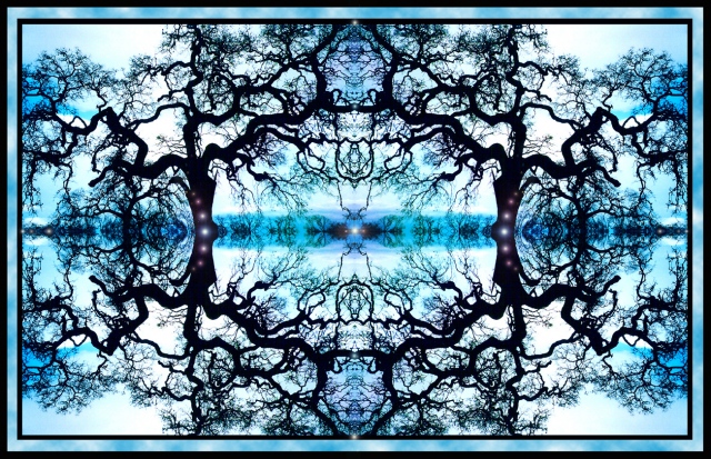 Skye Portal