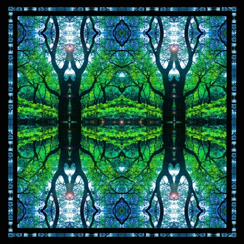 the Earth Dreams with Trees