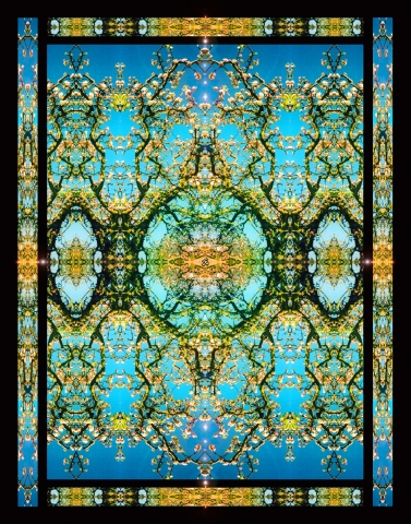 applewood blossoms, mandala, adorned with jewels, symmetrical design