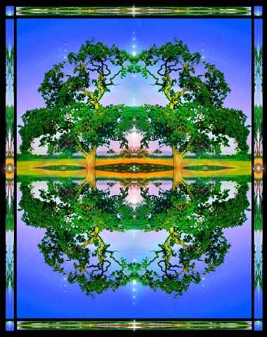 oak tree mandala, crop circles, symmetry, altar art