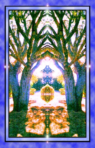 Summer Solstice