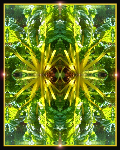 Sunstems