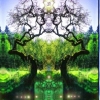 the Green Radiant Mind of Trees