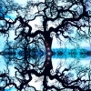 Skye Portal