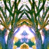Summer Solstice