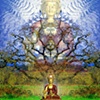 Medicine Buddha