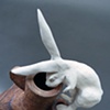 Bad Rabbit Series