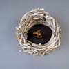 Detail of Round Rabbit Trap