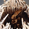 Detail of Tall Rabbit Trap