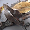 Leaves on bark