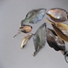 Leaves and Twigs