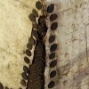 ASSEMBLAGE WORKS