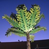 Digital Flora (installed Palm at night)