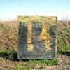 Photo, 0 - 1 (series of 11 images)