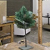 Digital Flora, Tree (model and full size)