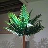 Digital Flora, Palm
