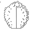 Digital Flora, Bush, Instructions