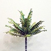 Digital Palm, Model 