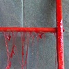 candied ladder