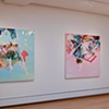 flybabyboyfly,  Installation. 