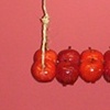 apple swing